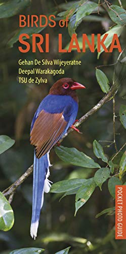Algopix Similar Product 11 - Birds of Sri Lanka (Pocket Photo Guides)