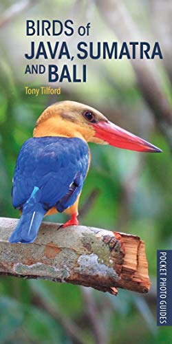 Algopix Similar Product 5 - Birds of Java Sumatra and Bali Pocket