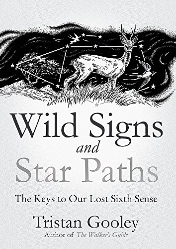 Algopix Similar Product 18 - Wild Signs and Star Paths A