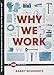 Algopix Similar Product 12 - Why We Work (TED Books)