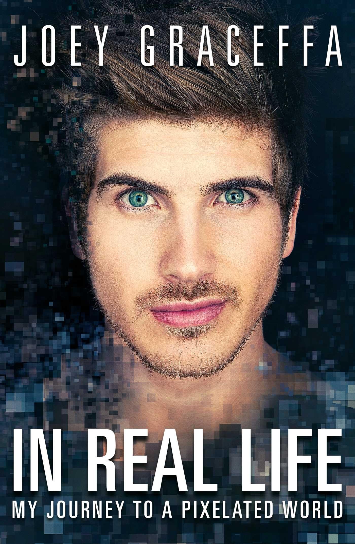 Algopix Similar Product 7 - In Real Life My Journey to a Pixelated