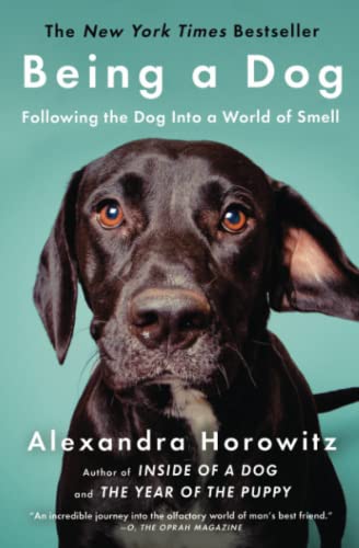 Algopix Similar Product 6 - Being a Dog Following the Dog Into a