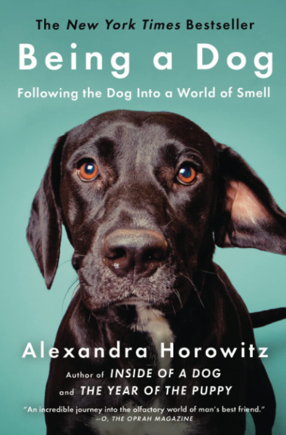 Algopix Similar Product 2 - Being a Dog Following the Dog Into a