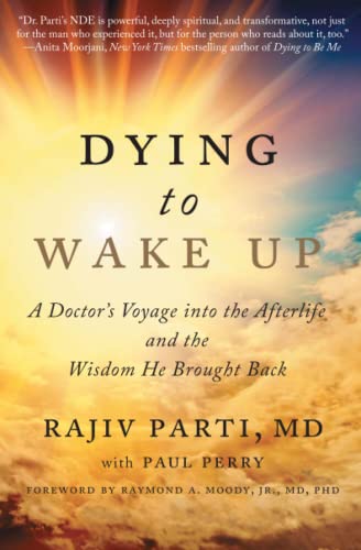 Algopix Similar Product 6 - Dying to Wake Up A Doctors Voyage