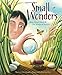 Algopix Similar Product 5 - Small Wonders JeanHenri Fabre and His