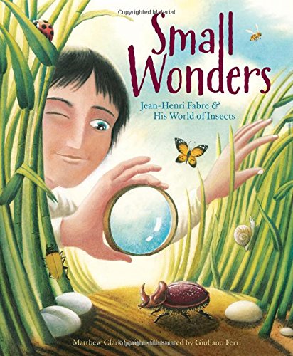 Algopix Similar Product 19 - Small Wonders JeanHenri Fabre and His