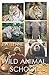 Algopix Similar Product 4 - Wild Animal School