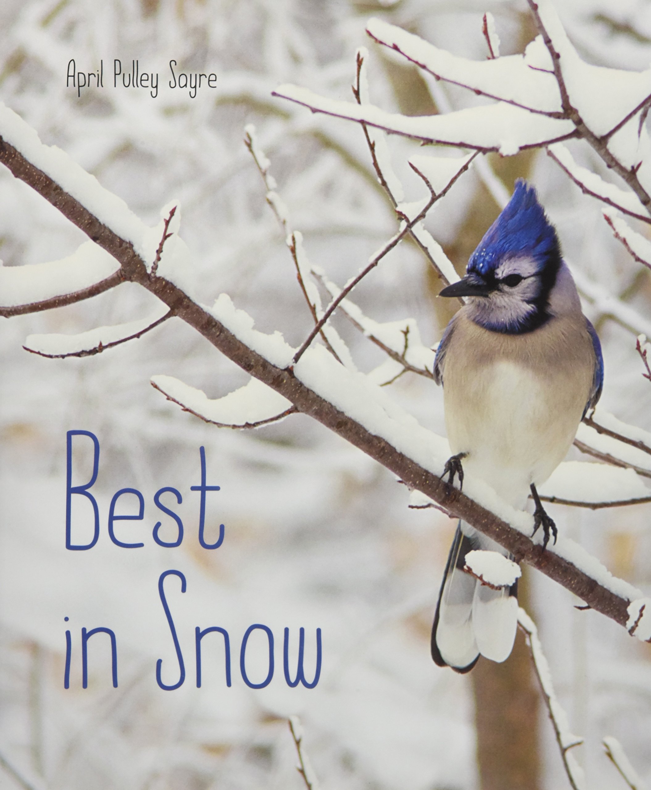 Algopix Similar Product 5 - Best in Snow (Weather Walks)