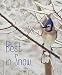 Algopix Similar Product 6 - Best in Snow (Weather Walks)