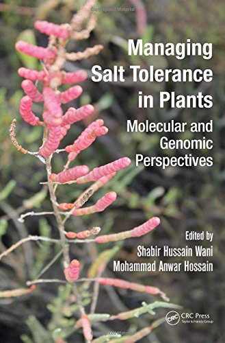 Algopix Similar Product 19 - Managing Salt Tolerance in Plants