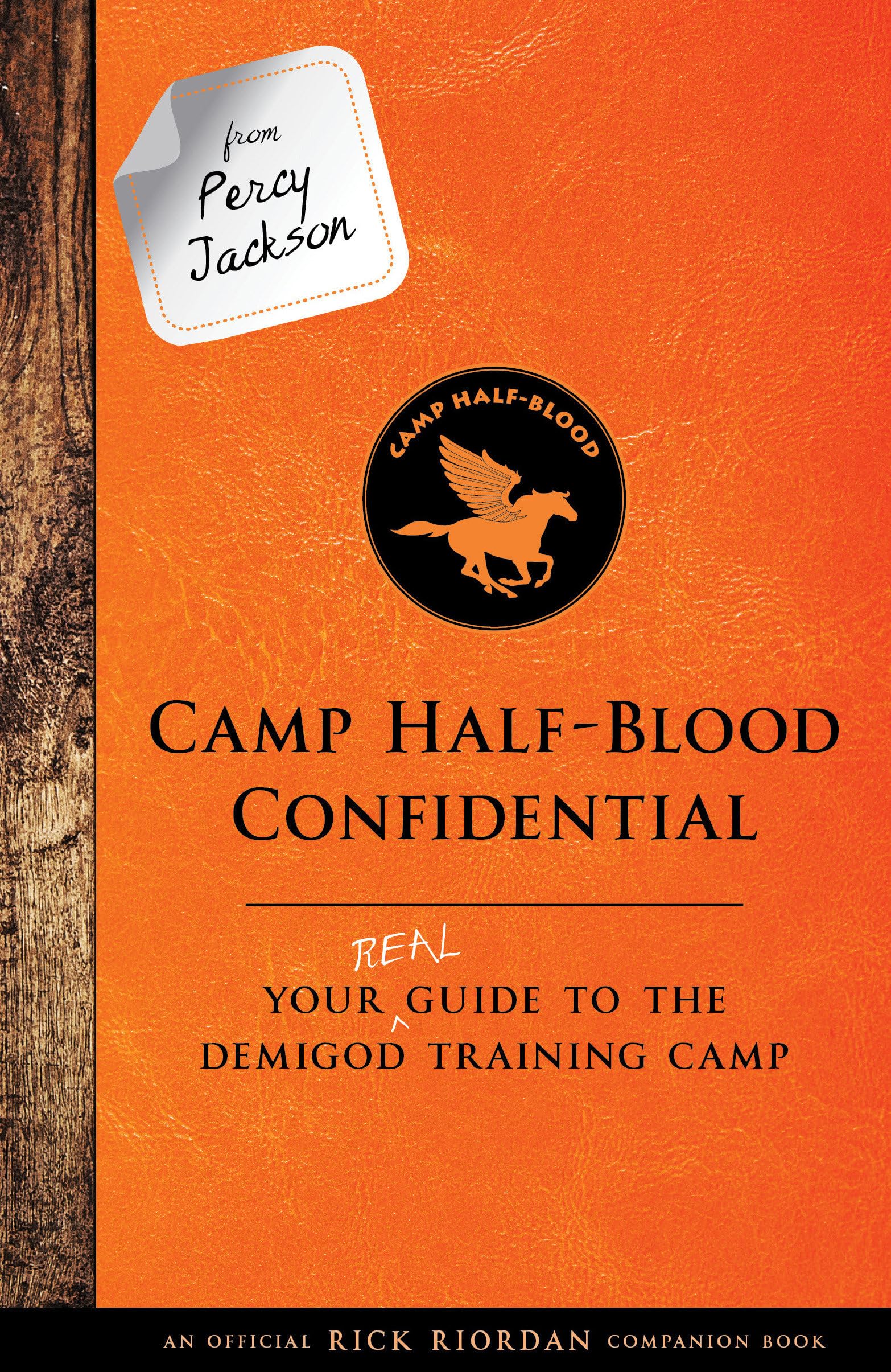Algopix Similar Product 19 - From Percy Jackson Camp HalfBlood
