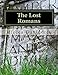 Algopix Similar Product 6 - The Lost Romans History and