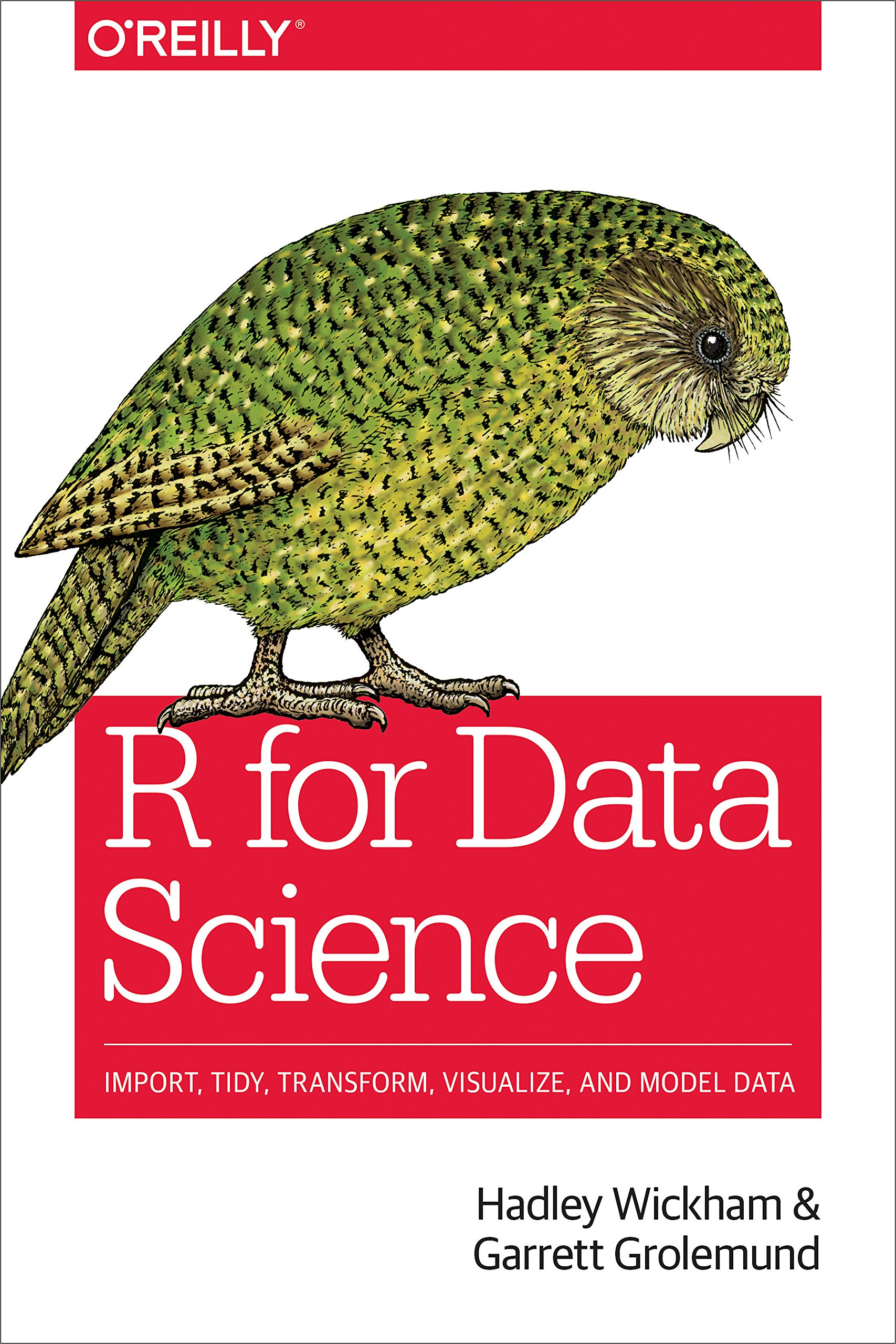 Algopix Similar Product 4 - R for Data Science Import Tidy