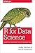 Algopix Similar Product 1 - R for Data Science Import Tidy