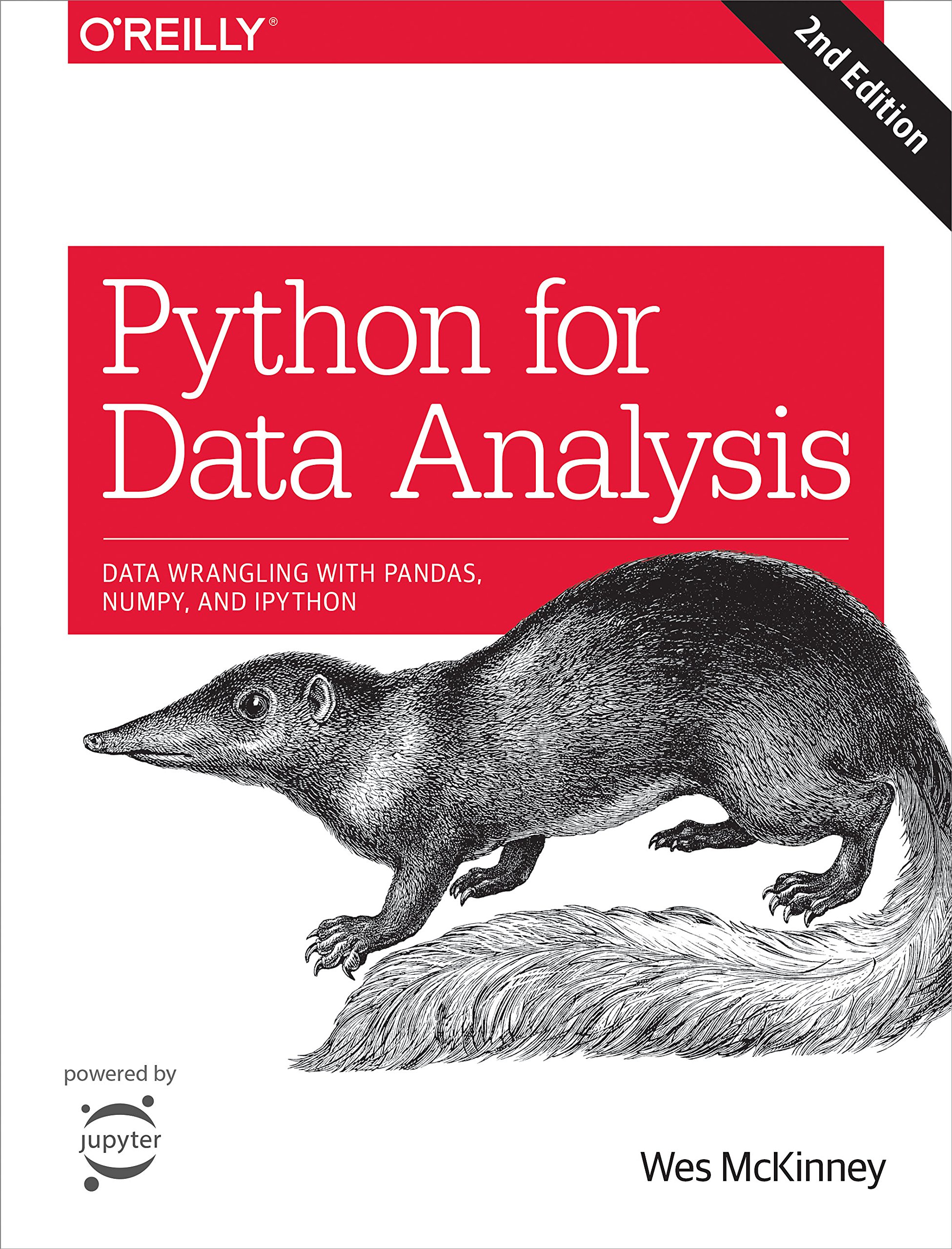 Algopix Similar Product 8 - Python for Data Analysis Data