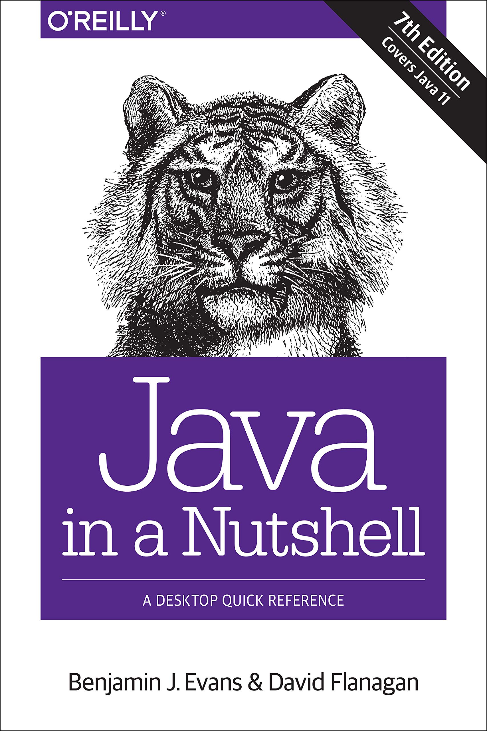 Algopix Similar Product 11 - Java in a Nutshell A Desktop Quick