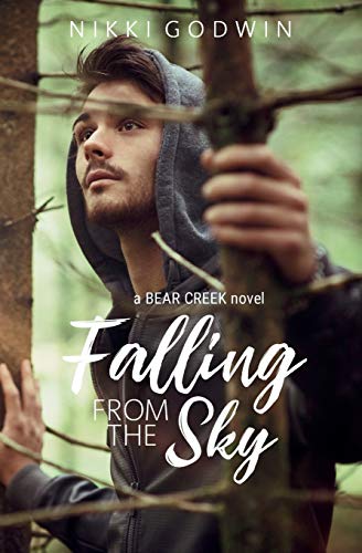 Algopix Similar Product 18 - Falling From The Sky