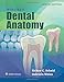 Algopix Similar Product 20 - Woelfels Dental Anatomy
