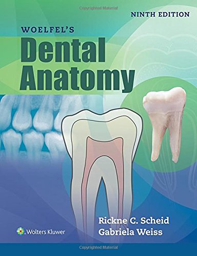 Algopix Similar Product 12 - Woelfels Dental Anatomy