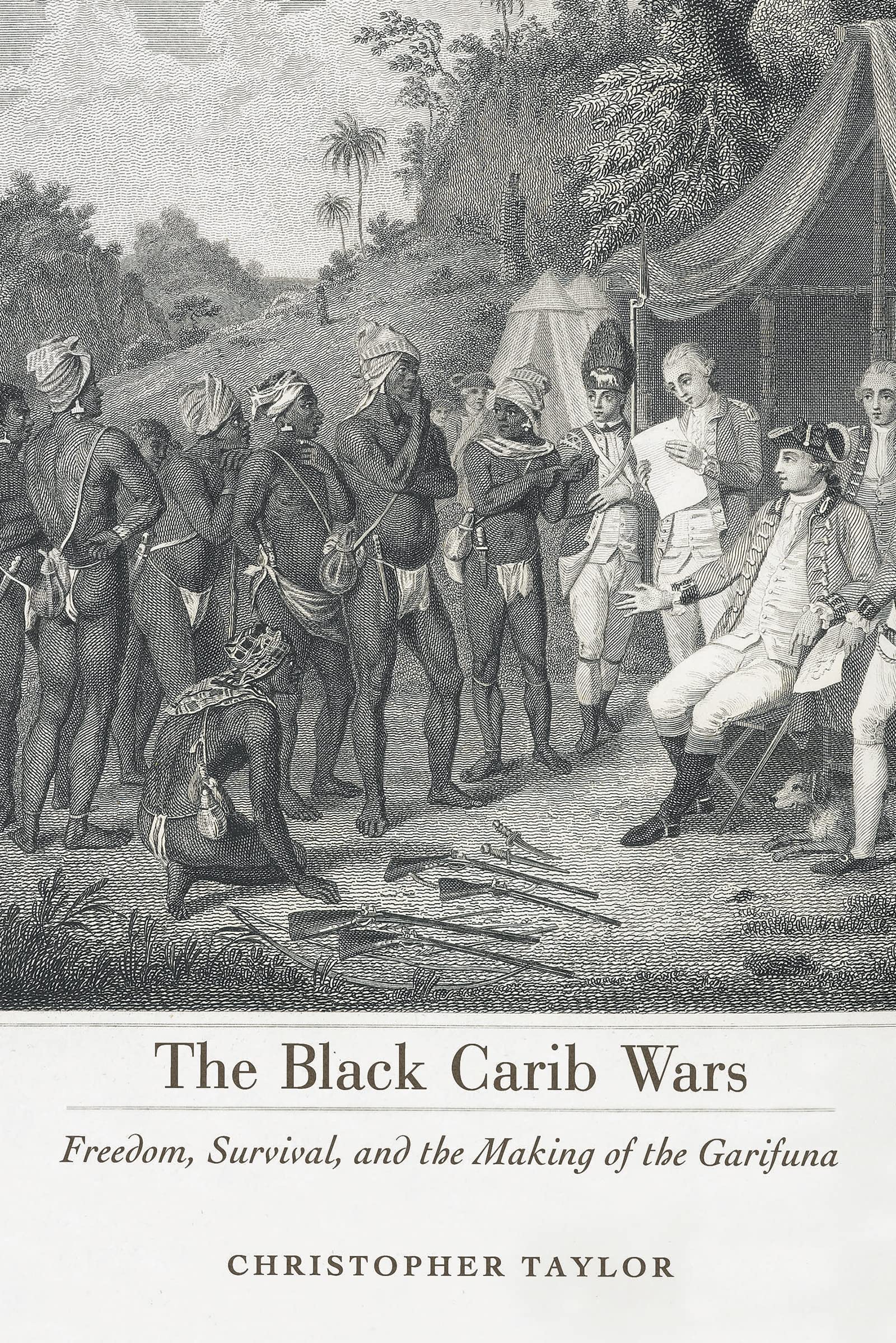 Algopix Similar Product 2 - The Black Carib Wars Freedom