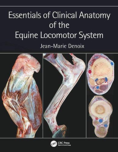 Algopix Similar Product 7 - Essentials of Clinical Anatomy of the