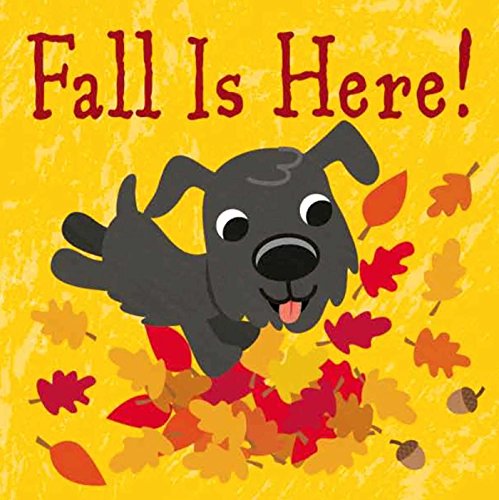 Algopix Similar Product 9 - Fall Is Here!