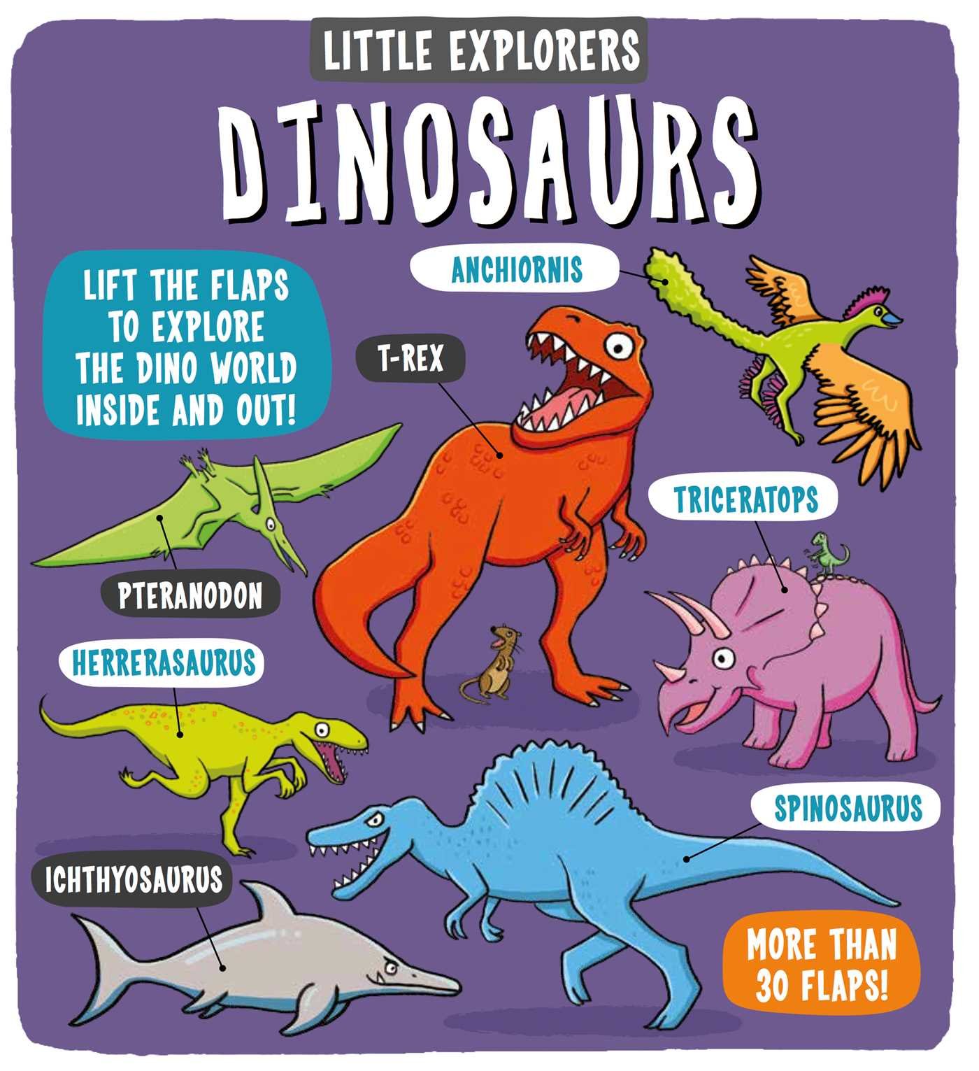 Algopix Similar Product 2 - Little Explorers: Dinosaurs