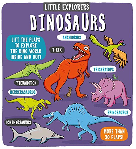 Algopix Similar Product 6 - Little Explorers: Dinosaurs