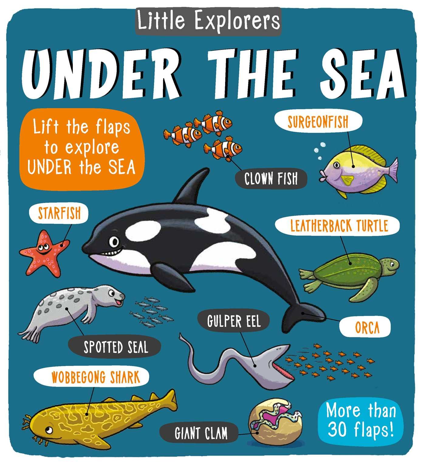Algopix Similar Product 15 - Little Explorers: Under the Sea
