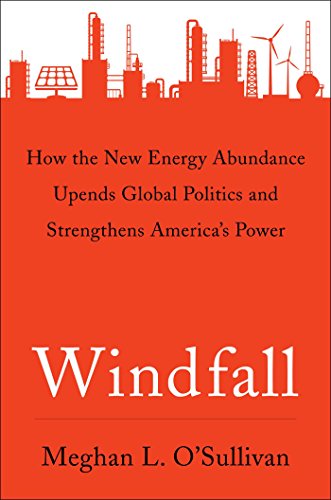 Algopix Similar Product 7 - Windfall How the New Energy Abundance