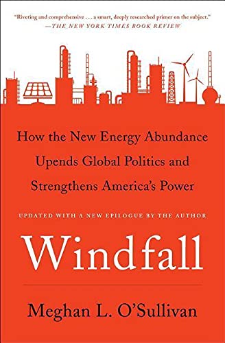 Algopix Similar Product 9 - Windfall How the New Energy Abundance