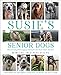 Algopix Similar Product 7 - Susie's Senior Dogs