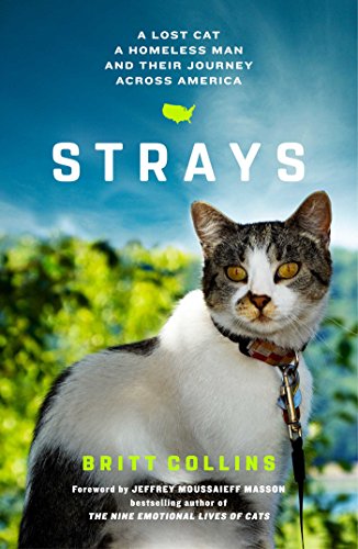 Algopix Similar Product 5 - Strays A Lost Cat a Homeless Man and