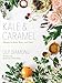 Algopix Similar Product 18 - Kale  Caramel Recipes for Body