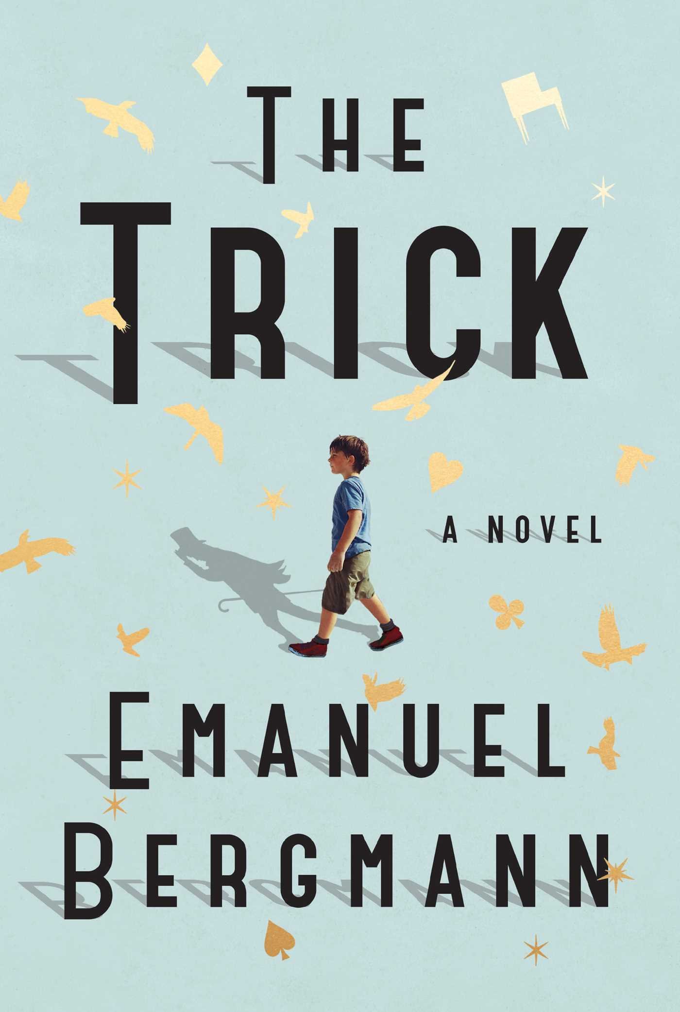 Algopix Similar Product 15 - The Trick: A Novel