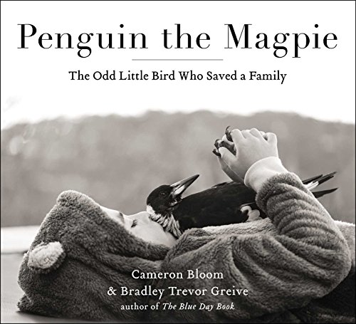Algopix Similar Product 6 - Penguin the Magpie The Odd Little Bird