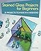 Algopix Similar Product 9 - Stained Glass Projects for Beginners