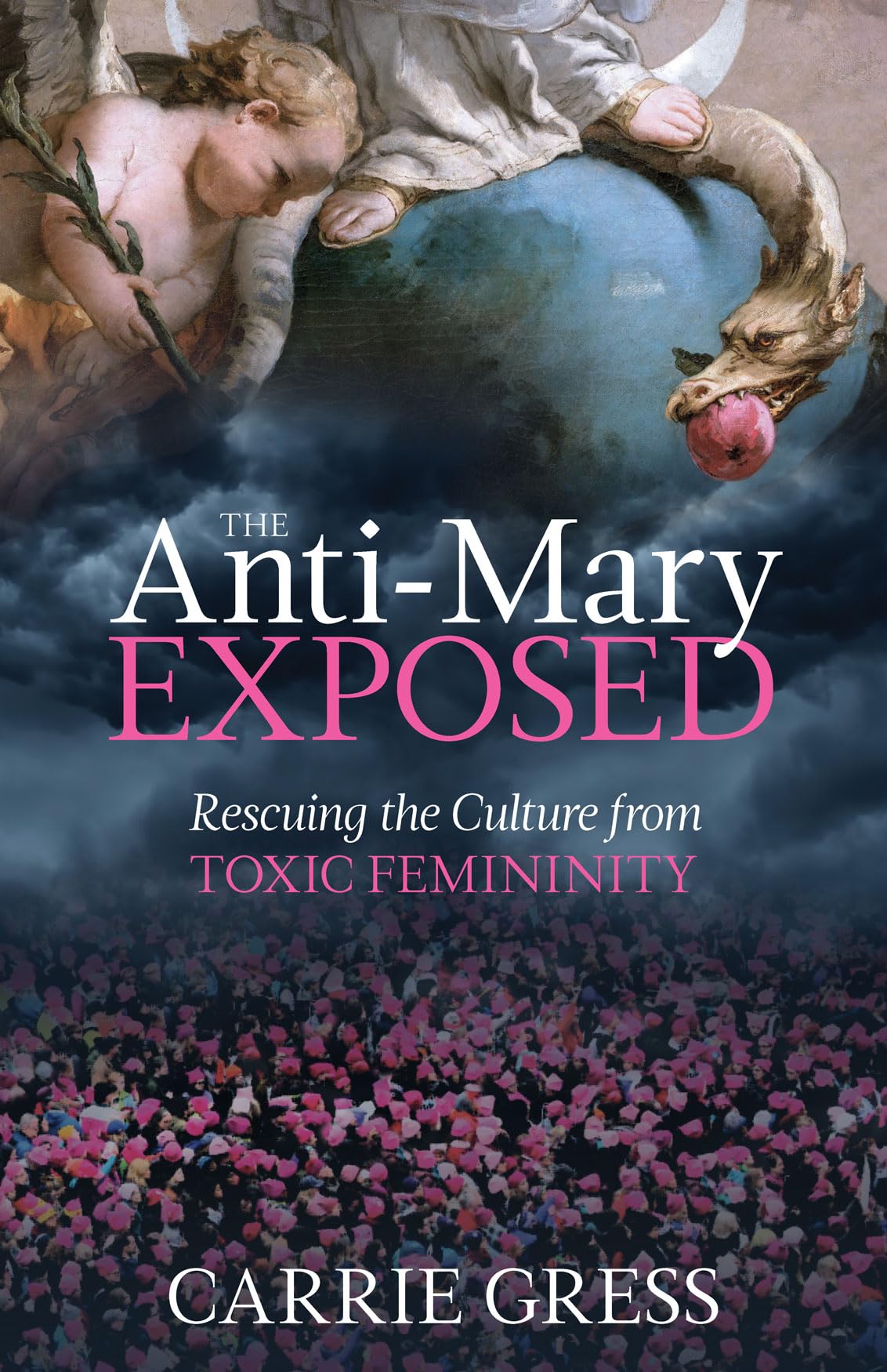 Algopix Similar Product 8 - The AntiMary Exposed Rescuing the