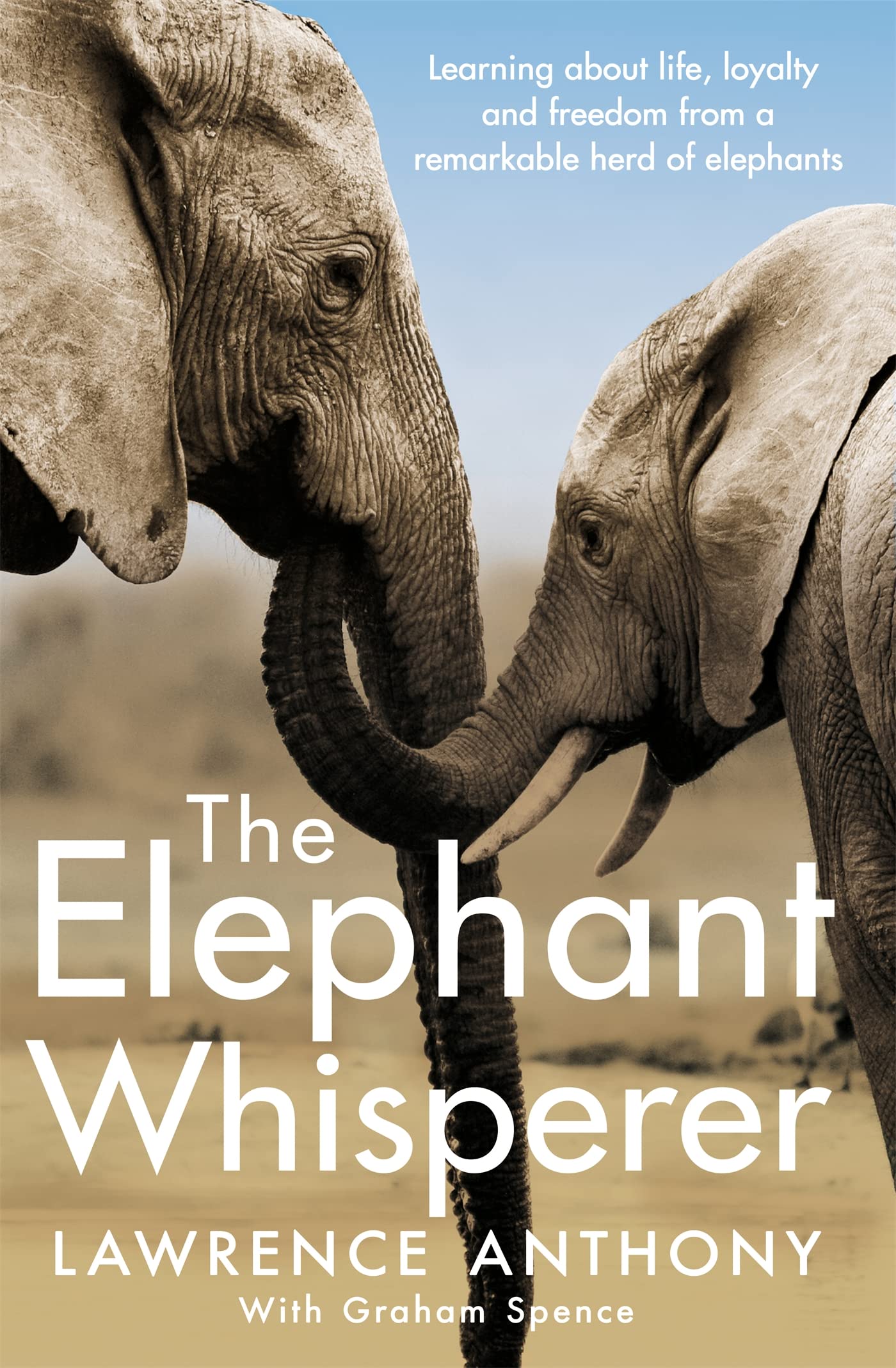 Algopix Similar Product 19 - The Elephant Whisperer