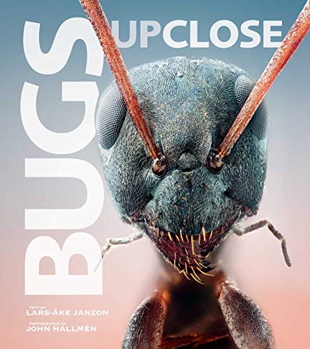 Algopix Similar Product 2 - Bugs Up Close A Magnified Look at the