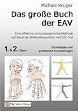 Algopix Similar Product 7 - Das grosse Buch der EAV Grundlagen und