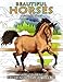 Algopix Similar Product 5 - Beautiful Horses  Coloring Book for
