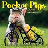 Algopix Similar Product 18 - Pocket Pigs Wall Calendar 2020
