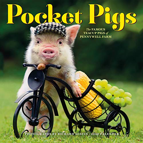 Algopix Similar Product 5 - Pocket Pigs Wall Calendar 2020