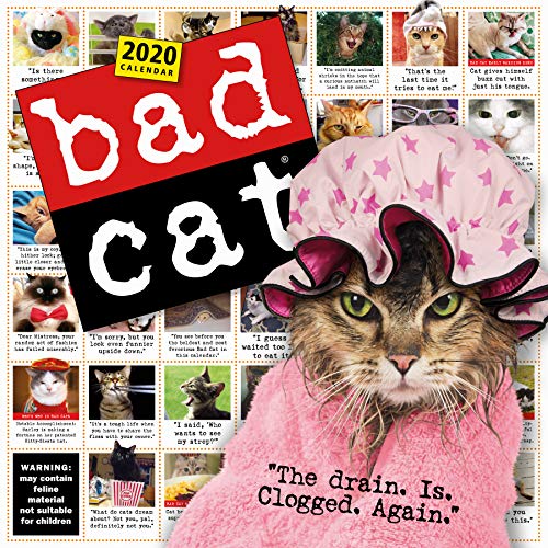 Algopix Similar Product 18 - Bad Cat Wall Calendar 2020