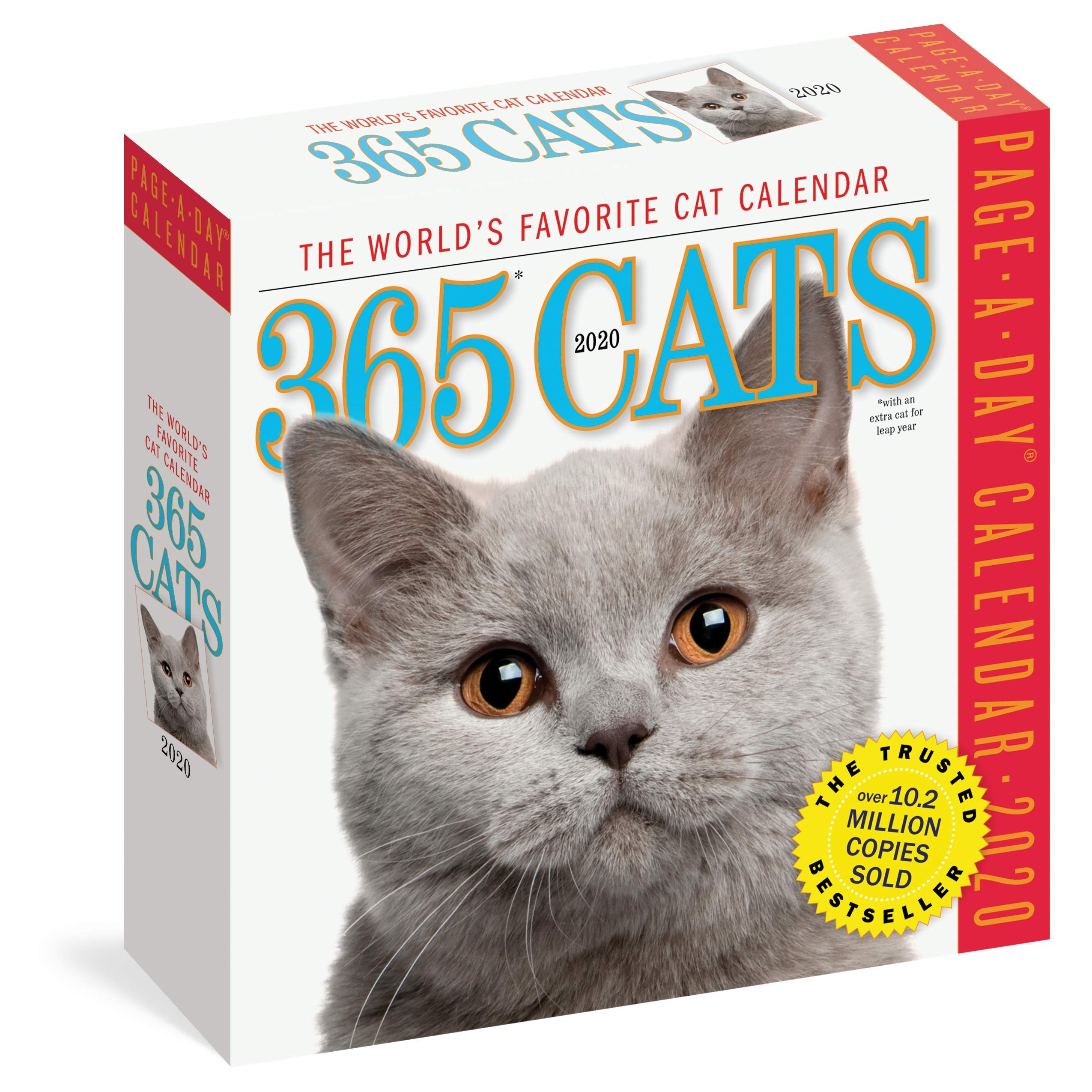 Algopix Similar Product 7 - 365 Cats Page-A-Day Calendar 2020