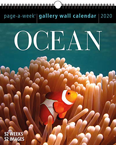 Algopix Similar Product 16 - Ocean PageAWeek Gallery Wall Calendar