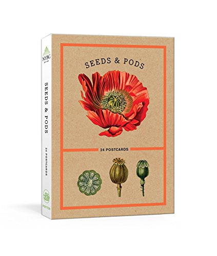 Algopix Similar Product 7 - Seeds and Pods 24 Postcards New York