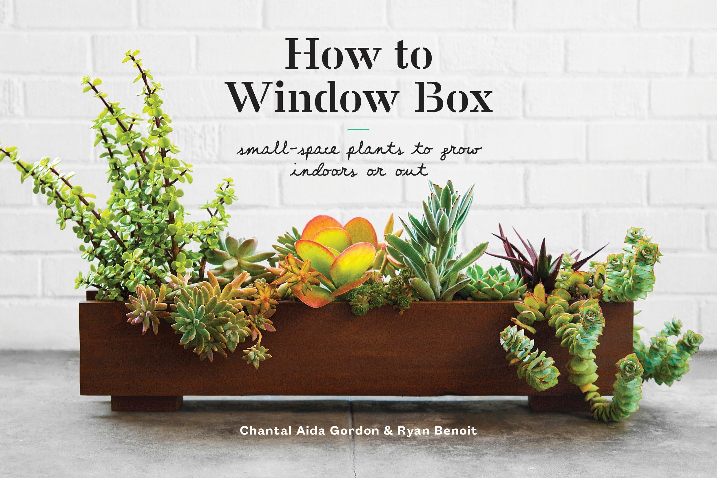 Algopix Similar Product 5 - How to Window Box SmallSpace Plants