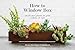 Algopix Similar Product 8 - How to Window Box SmallSpace Plants